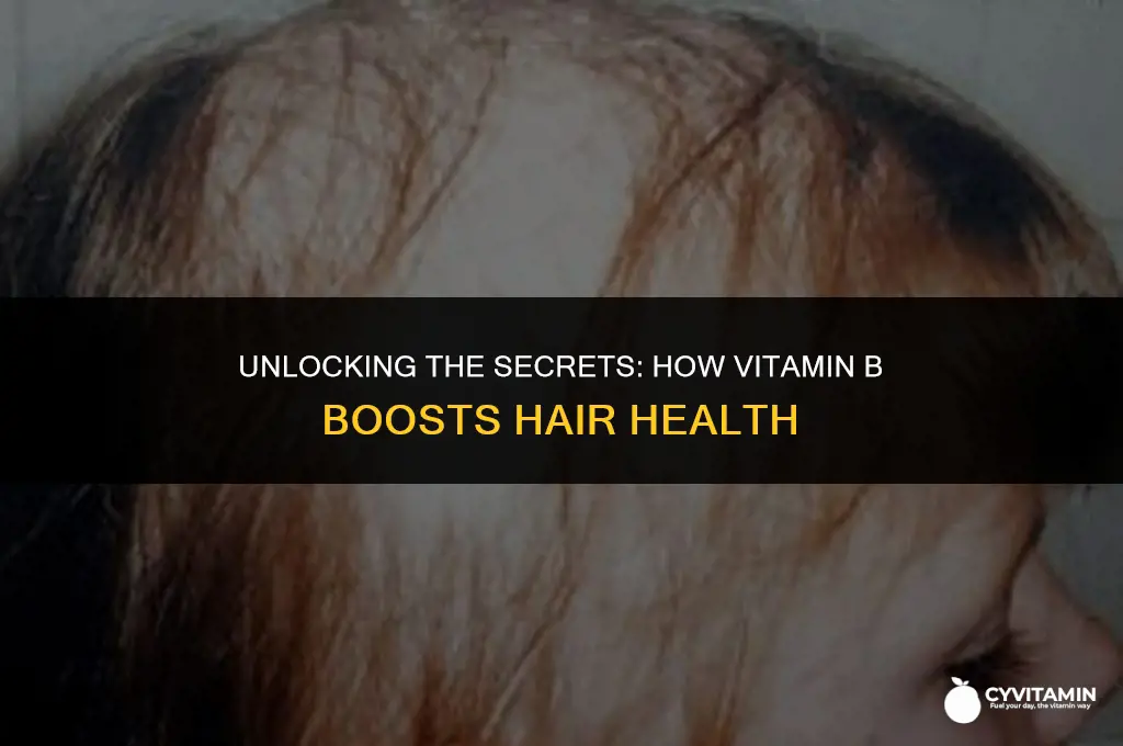 is vitamin b good for hair