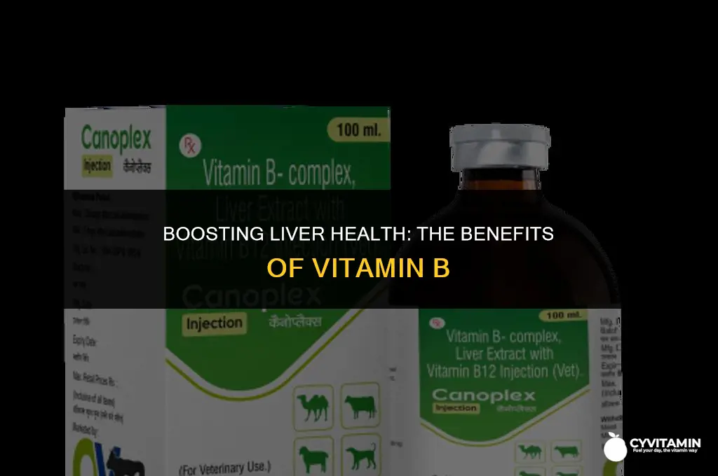 is vitamin b good for liver