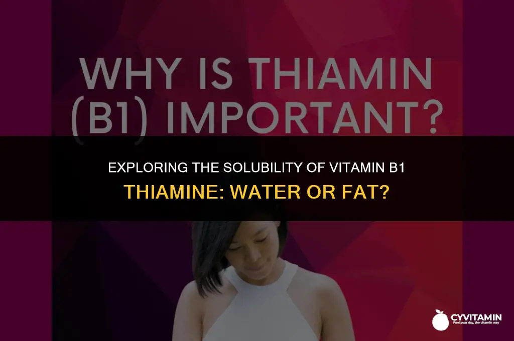 is vitamin b1 thiamine water soluble or fat soluble