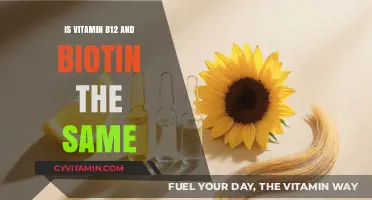 Exploring the Differences: Vitamin B12 vs. Biotin