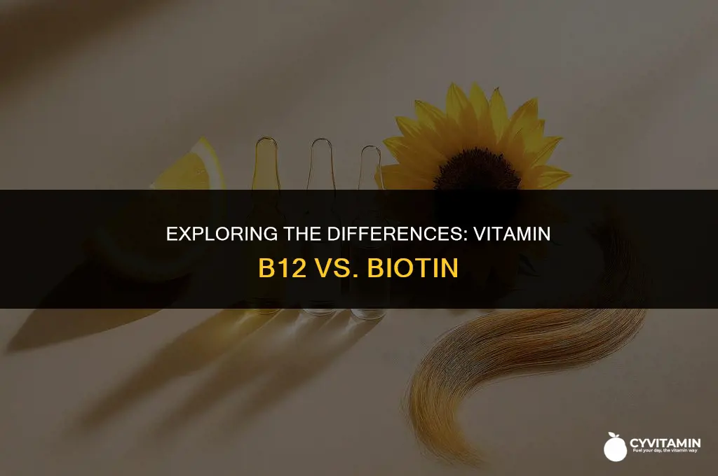 is vitamin b12 and biotin the same