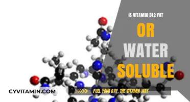 Unlocking the Mystery: Is Vitamin B12 Fat or Water Soluble?