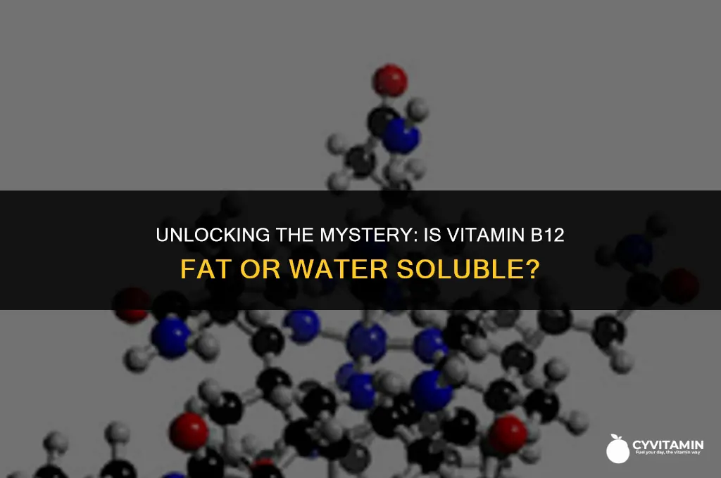 is vitamin b12 fat or water soluble
