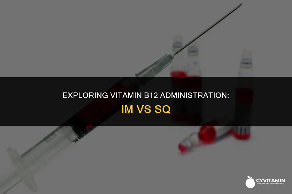 is vitamin b12 given im or sq