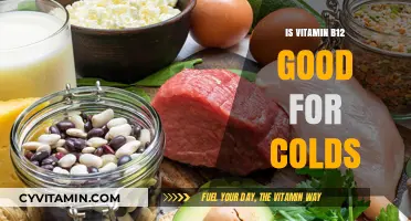 Boosting Immunity: The Role of Vitamin B12 in Cold Prevention