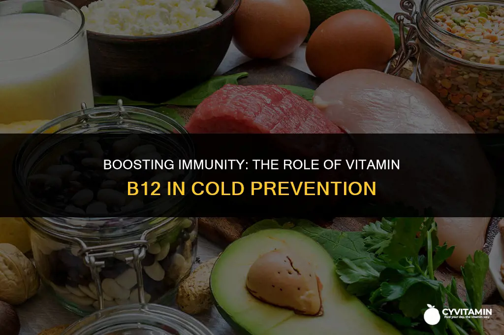 is vitamin b12 good for colds