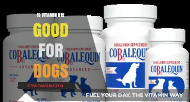 Boosting Canine Health: The Benefits of Vitamin B12 for Dogs