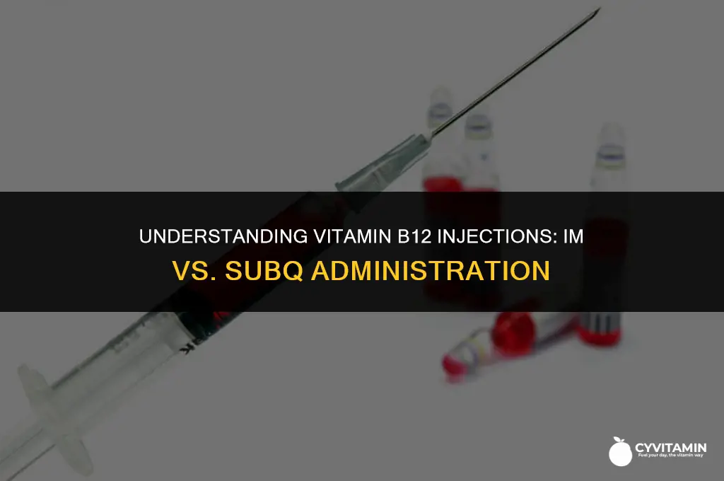 is vitamin b12 injection im or subq