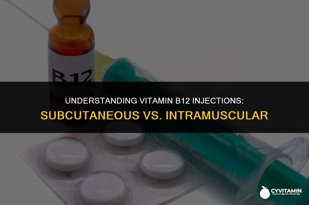 is vitamin b12 injections subcutaneous or intramuscular