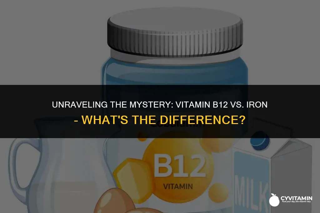 is vitamin b12 the same as iron