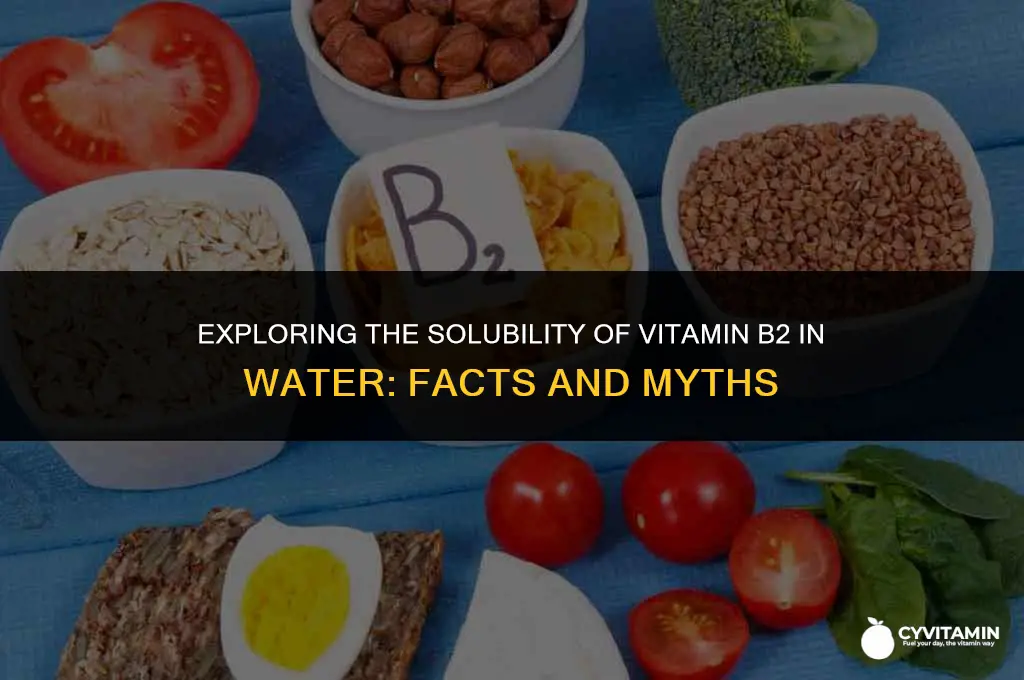 is vitamin b2 water soluble
