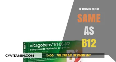 Unraveling the Mystery: Vitamin B6 vs. B12 - What's the Difference?