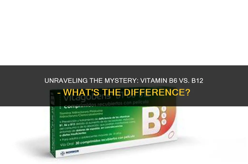 is vitamin b6 the same as b12