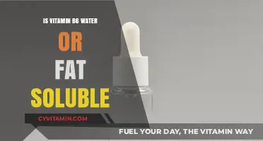 Unlocking the Solubility Secrets of Vitamin B6: Water or Fat?