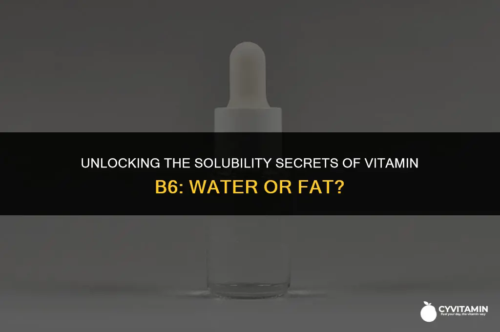 is vitamin b6 water or fat soluble