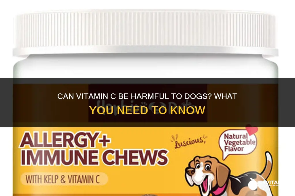 is vitamin c bad for dogs