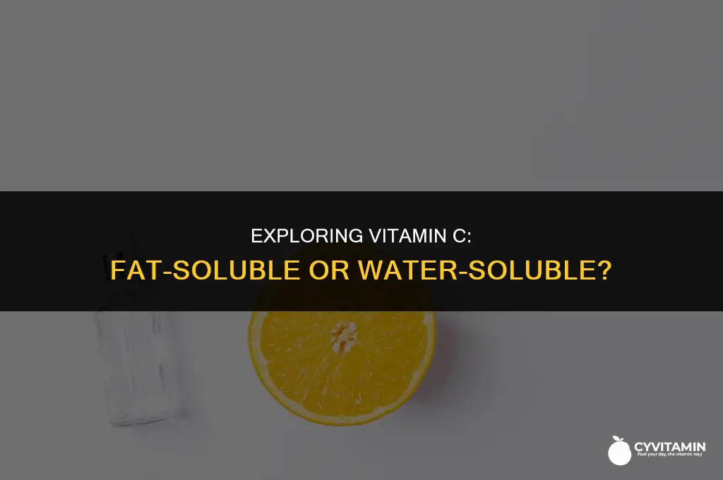 is vitamin c fat soluble or water soluble
