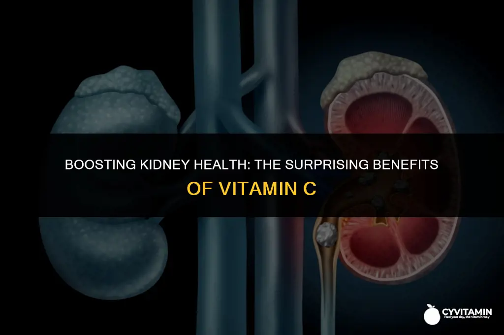 is vitamin c good for your kidneys