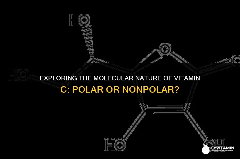 is vitamin c polar or nonpolar