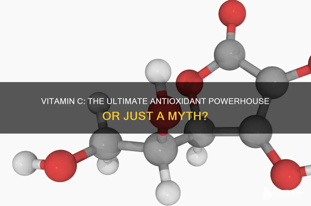 is vitamin c the best antioxidant