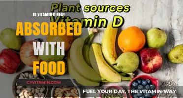 Boosting Vitamin D Absorption: The Role of Food in Maximizing Benefits