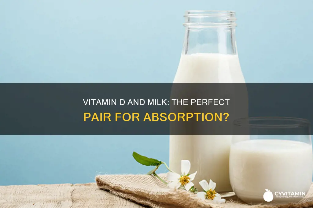 is vitamin d best taken with milk