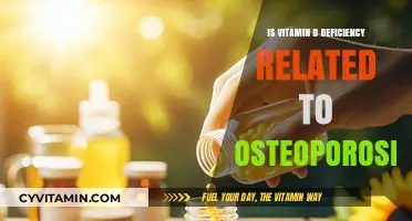 Exploring the Link Between Vitamin D Deficiency and Osteoporosis