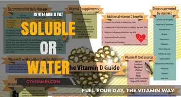 Unlocking the Mystery: Is Vitamin D Fat-Soluble or Water-Soluble?