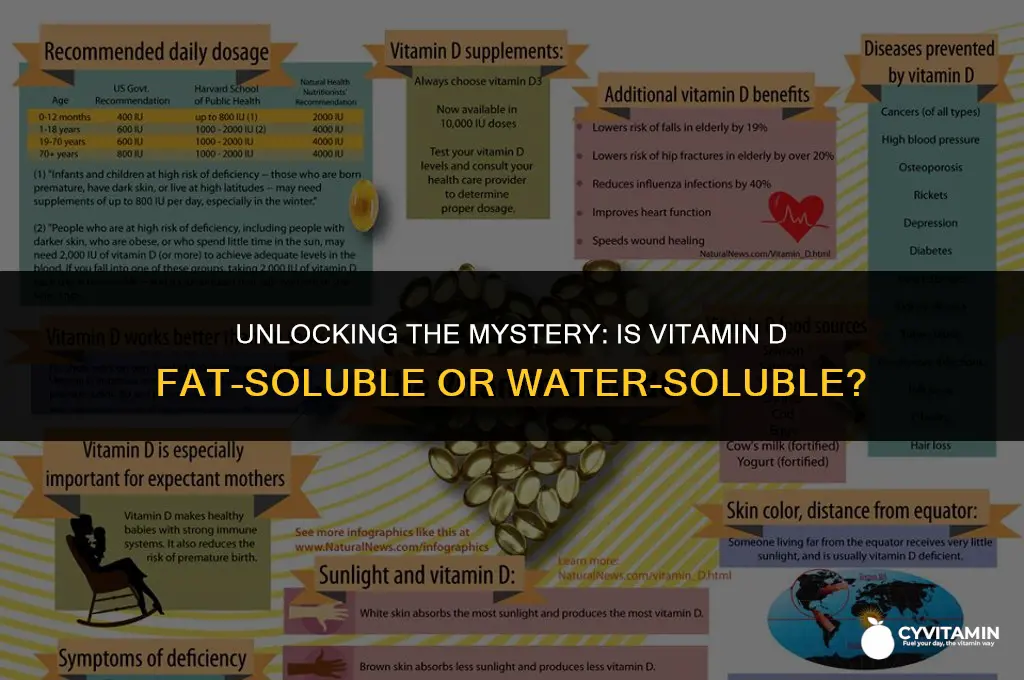 is vitamin d fat soluble or water