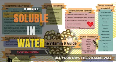 Exploring the Solubility of Vitamin D in Water: Facts and Myths