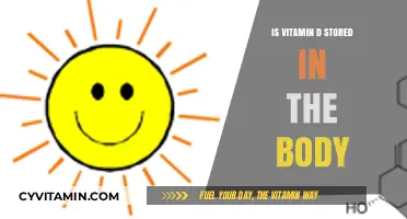 Unlocking the Secrets of Vitamin D Storage in Our Bodies