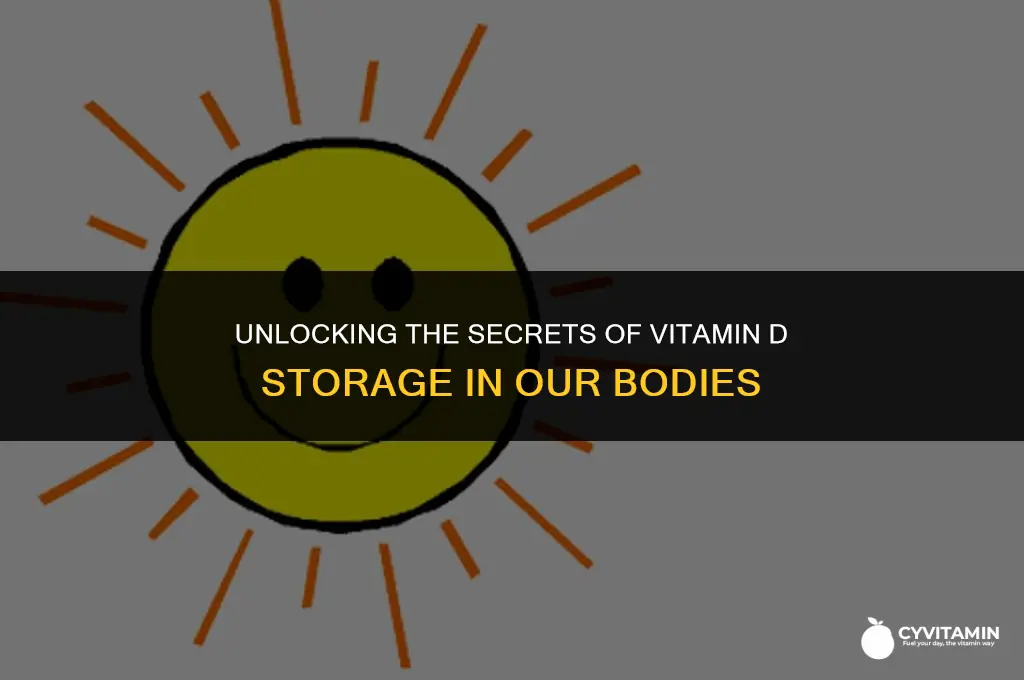 is vitamin d stored in the body
