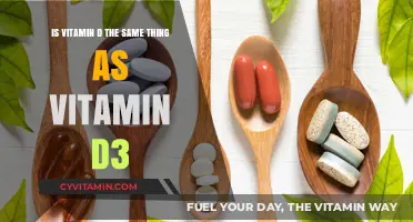 Unraveling the Mystery: Vitamin D vs. Vitamin D3 Explained
