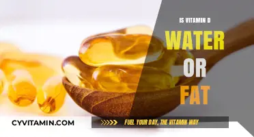 Exploring the Solubility Debate: Is Vitamin D Water or Fat Soluble?