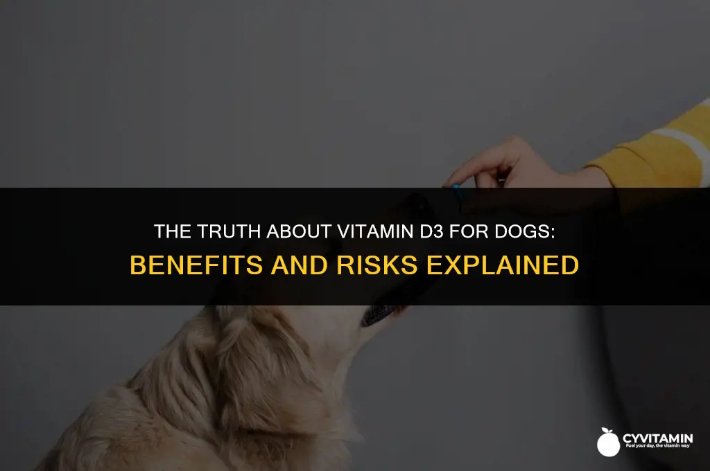 is vitamin d3 bad for dogs