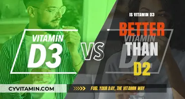 D3 vs D2: Unraveling the Debate on Vitamin D Supplements