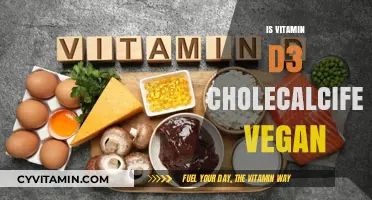 Exploring Vegan Options for Vitamin D3 Cholecalciferol