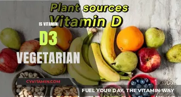 Exploring Vitamin D3: A Vegetarian's Guide to Sunlight and Supplements