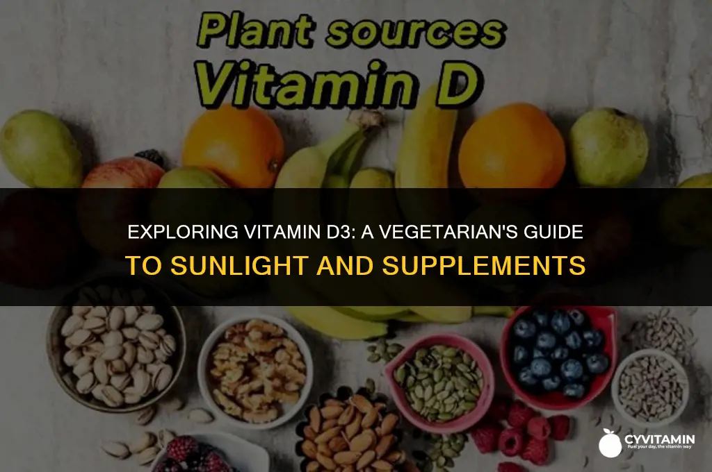 is vitamin d3 vegetarian