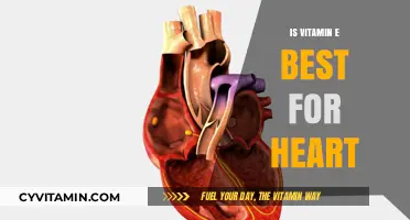 Vitamin E and Heart Health: Benefits, Risks, and Best Practices