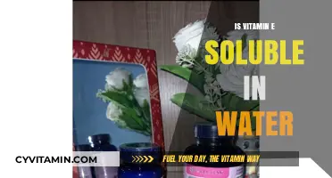Exploring Vitamin E: Water Solubility and Essential Benefits