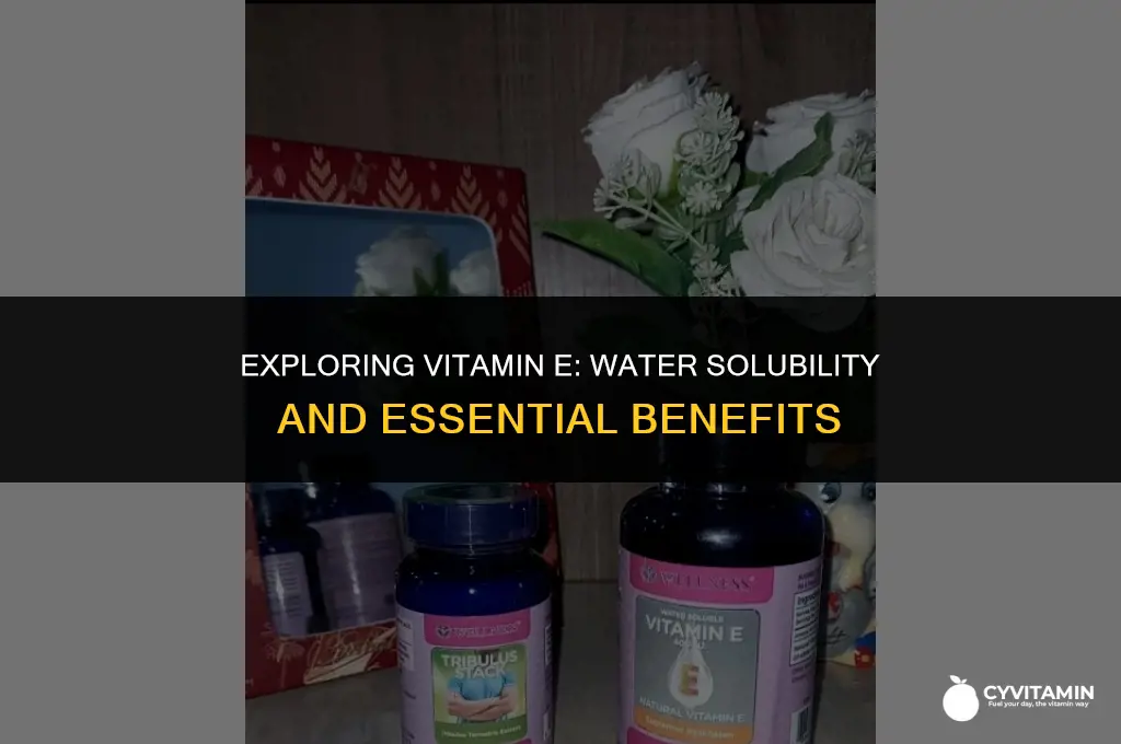 is vitamin e soluble in water