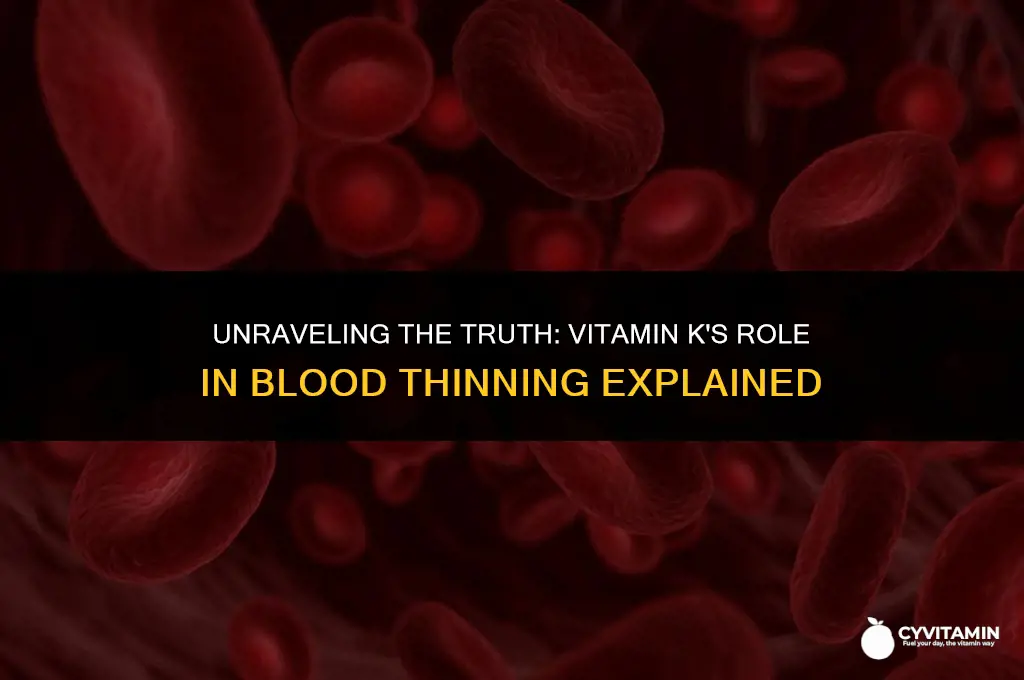 is vitamin k a blood thinner