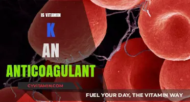 Unraveling the Myth: Vitamin K's Role in Blood Clotting Explained