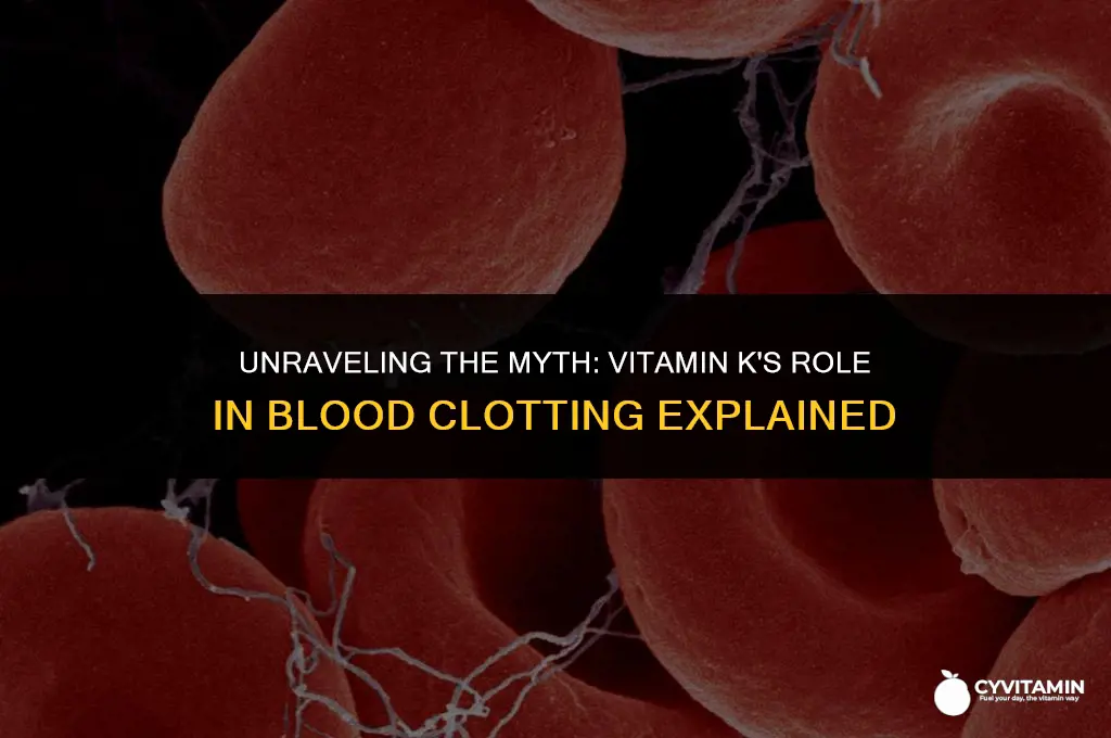 is vitamin k an anticoagulant