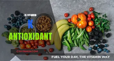 Unlocking the Power of Vitamin K: An Antioxidant Superstar