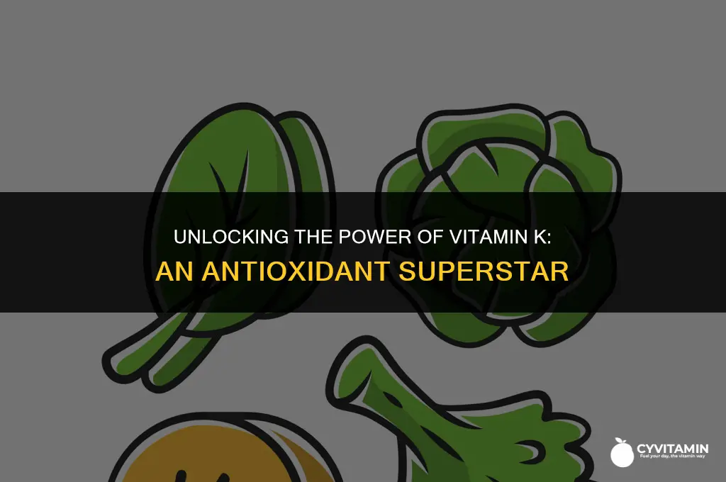 is vitamin k antioxidant