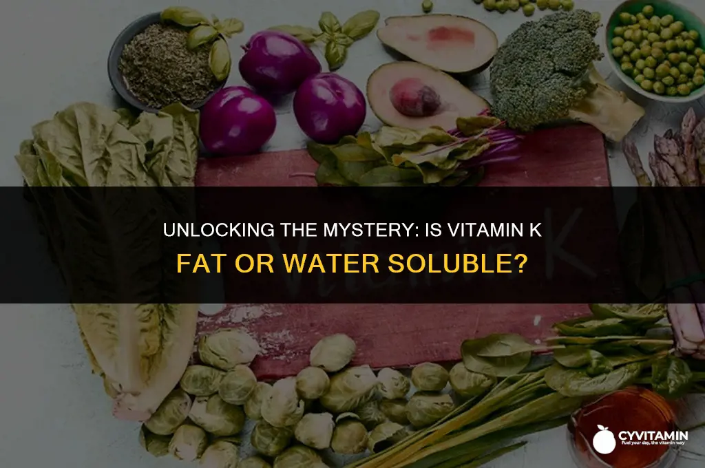 is vitamin k fat or water soluble