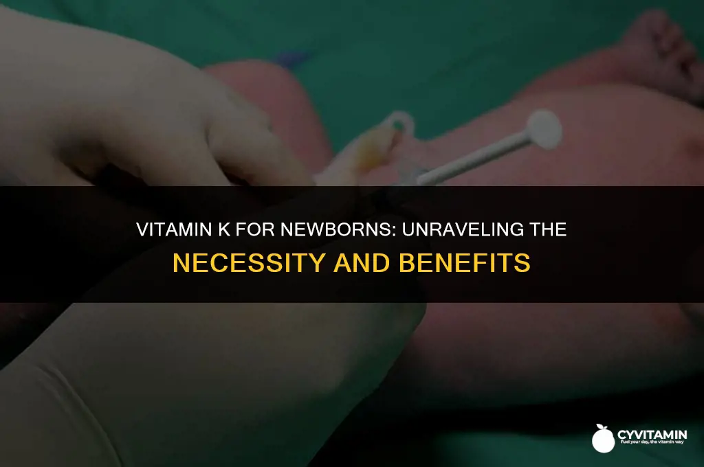 is vitamin k necessary for newborns