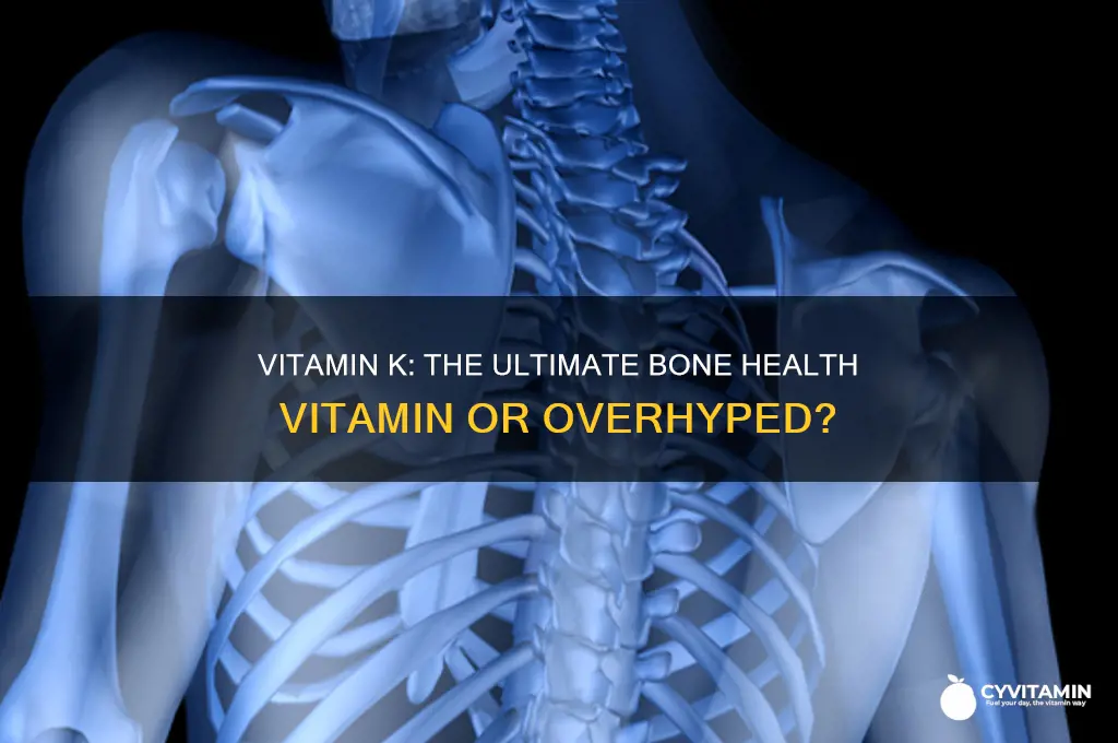 is vitamin k the best bone vitamin